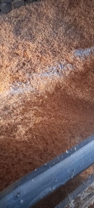 Стружка . Тирса.