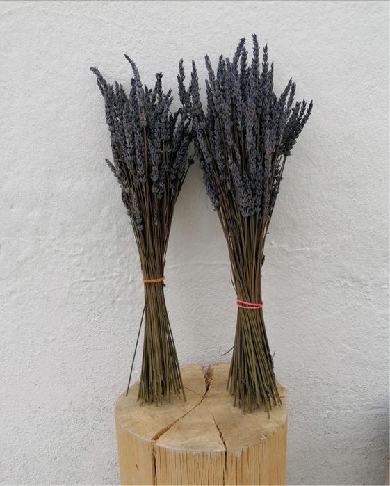 Ramos de alfazema ou alfazema desfeita