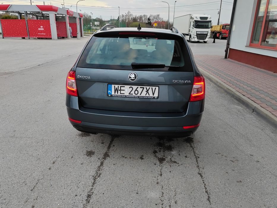 Skoda Octavia 2019 rok
