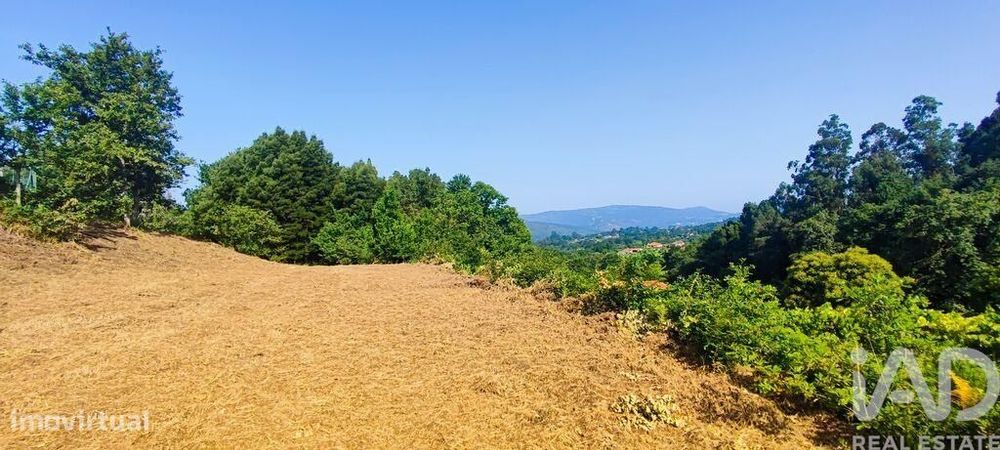 Terreno em Romarigães