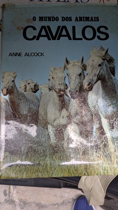 O Mundo dos Animais Cavalos de Anne Alcock