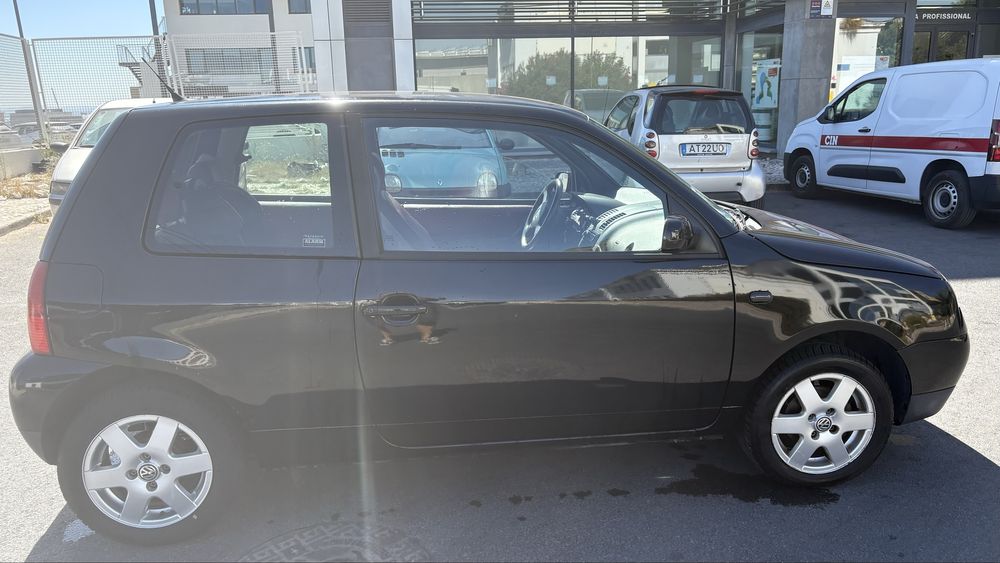 Lupo interior em pele