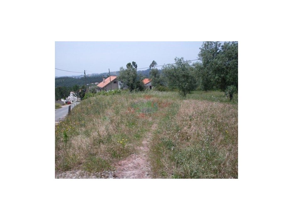 Terreno - São Paulo de Frades