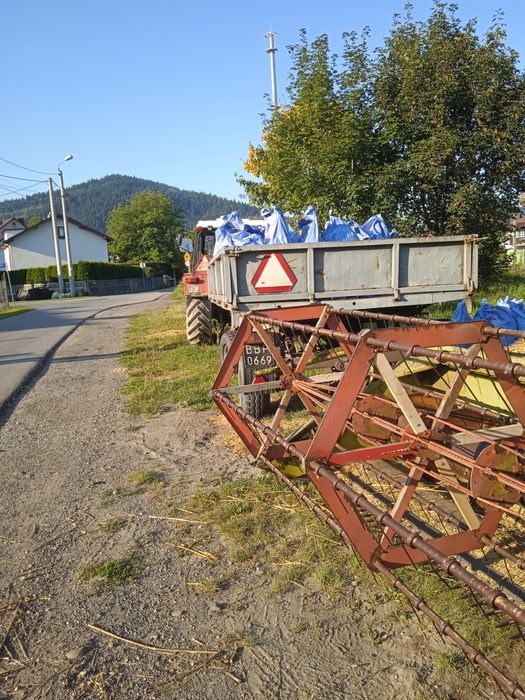 Pszenica,jęczmień
