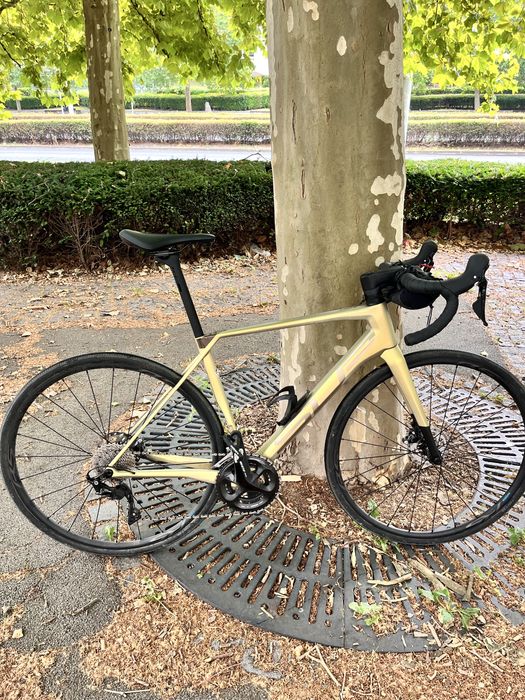Suoerior x-road team elite carbon
