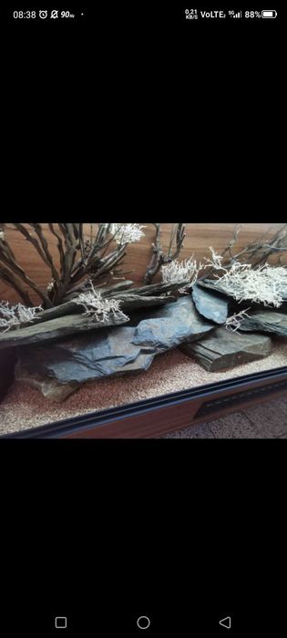 Okazja terrarium dla agamy gekona żółwia węża kameleona legwana