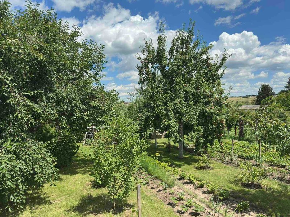 Продам будинок передмістя м.Тернопіль, с.Підгородне