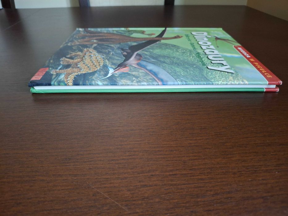 Książka dla dzieci Dinozaury