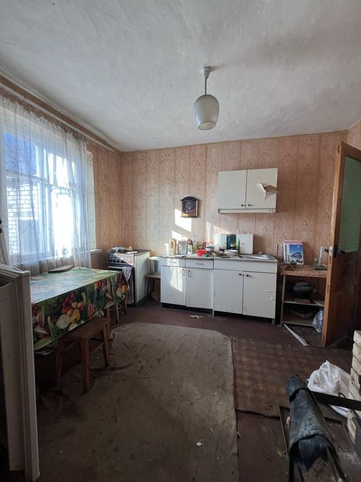 Дача з каміном біля Дніпра