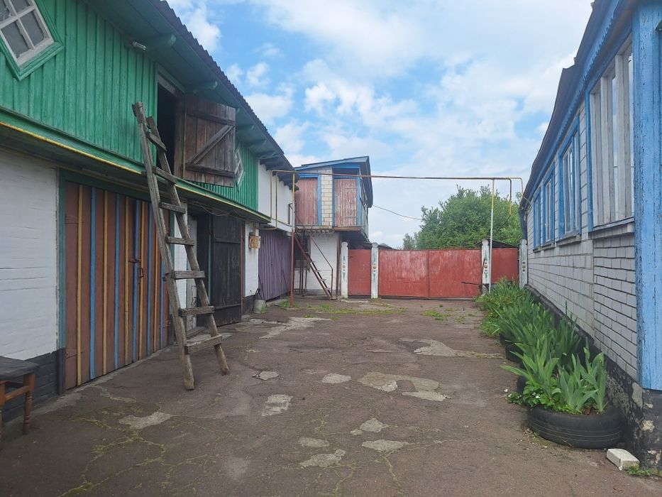 House in Rohoziv, Boryspilskyy rayon - View 5