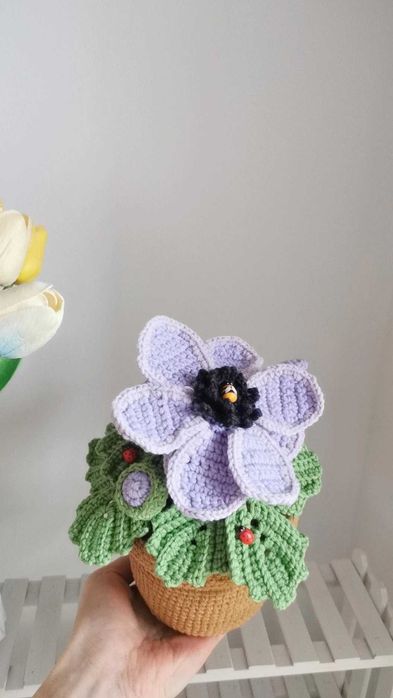 Zawilec na szydełku, kwiaty, anemon handmade
