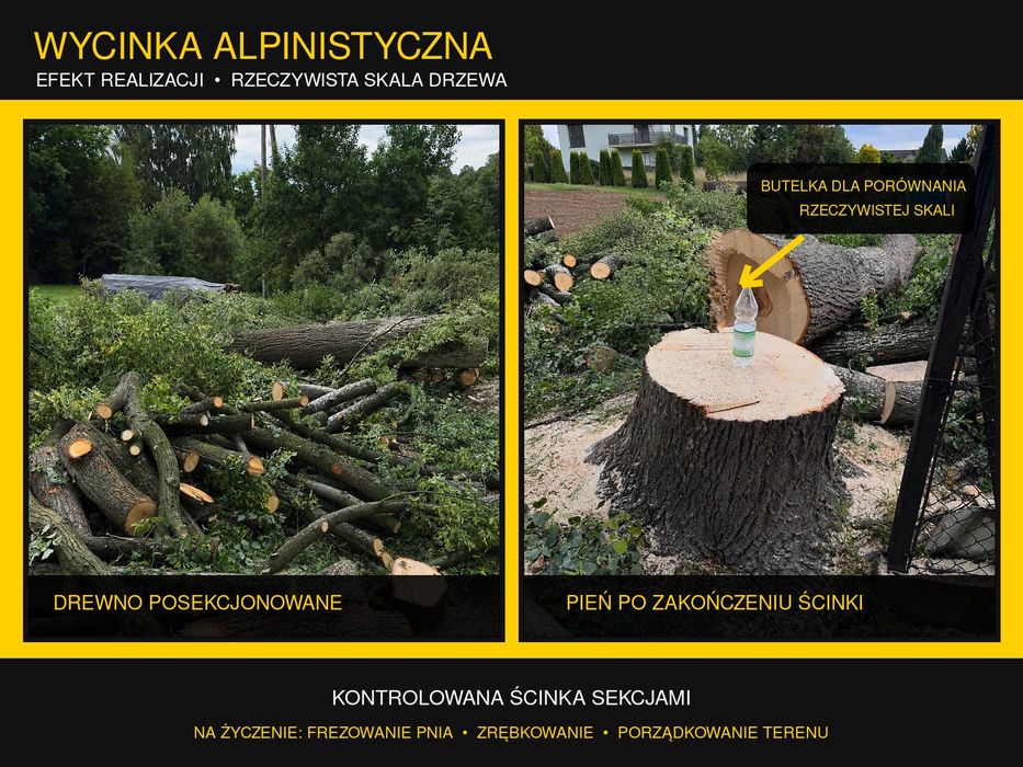 Wycinka drzew • frezowanie pni • karczowanie • cennik | Łódzkie