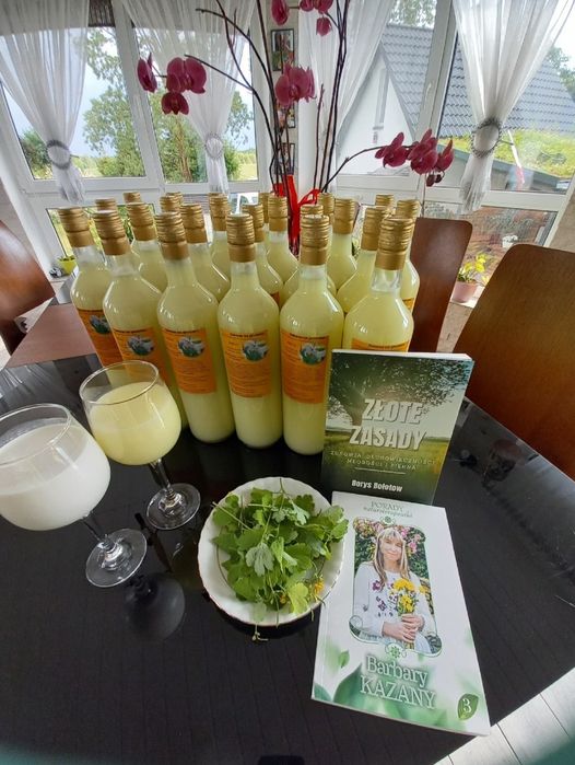 1l.zakwas Bołotowa.tylko kozia serwatka I świeży glistnik.enzymy  wg Kazana Barbary