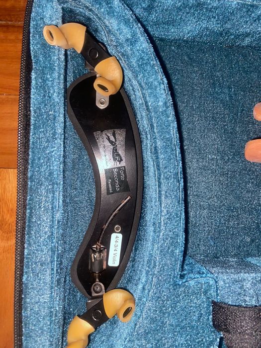 Gara Violin 4/464175167655553123