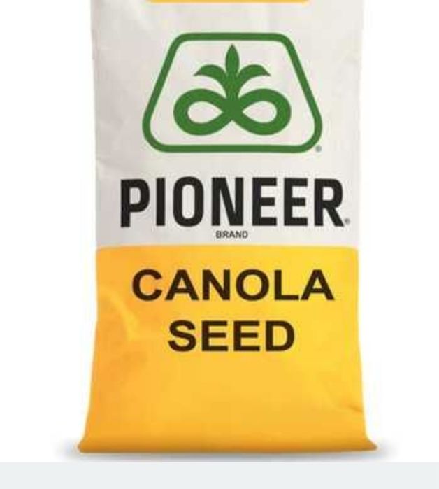 Pioneer PT 314 nasiona rzepaku
