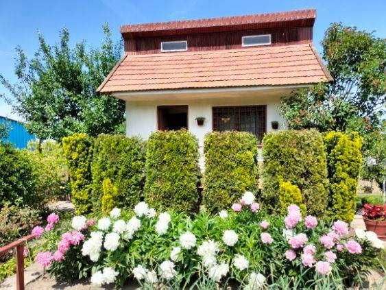 zagospodarowana działka ROD "Złoty Wiek" w Krakowie