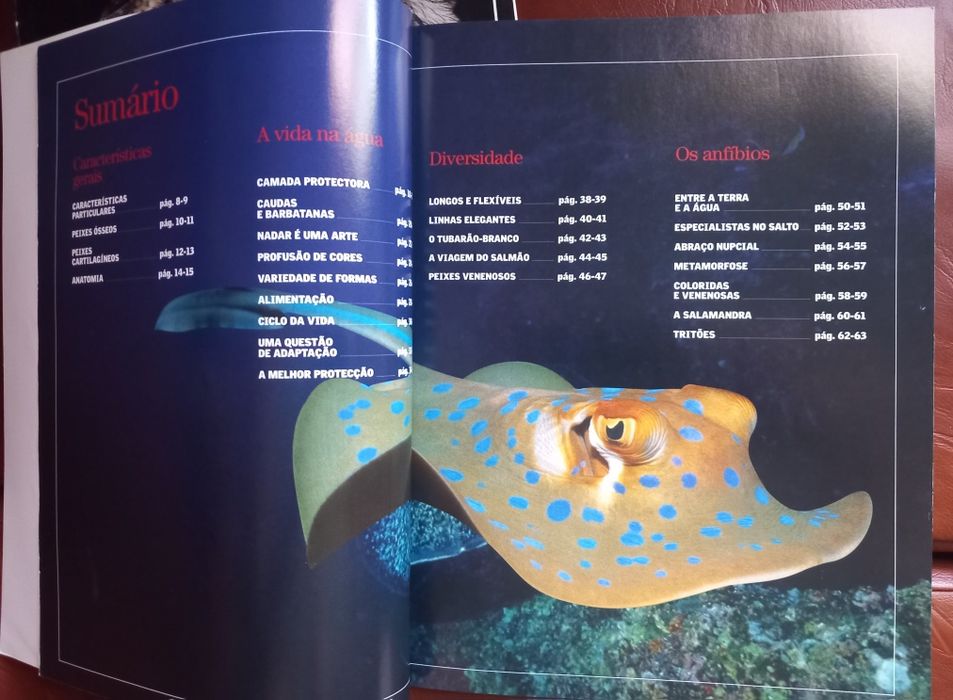 Enciclopédia visual, Editorial Sol 90