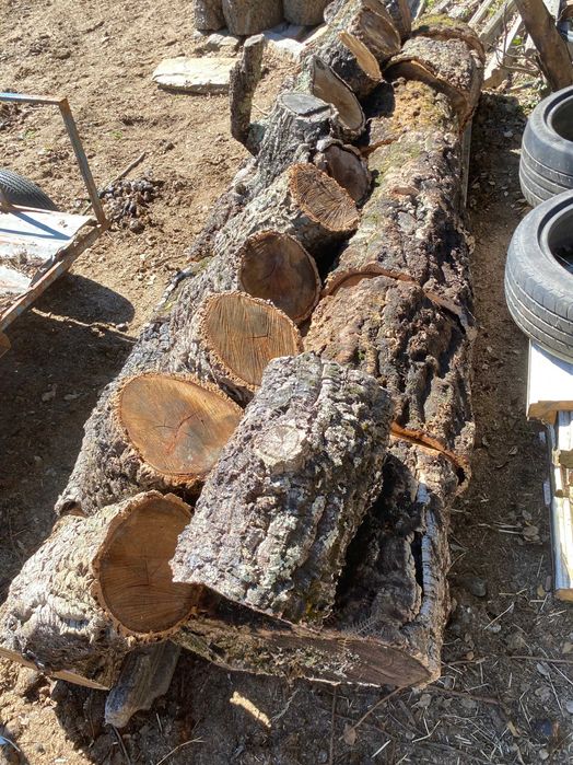 Madeira de Sobreiro (Cepo)