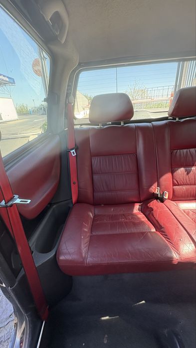 Lupo interior em pele