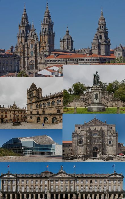 Motorista particular turismo