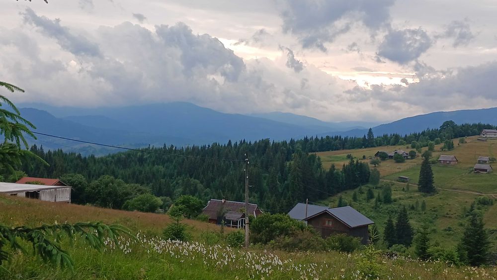 Продаж ексклюзивної земельної ділянки 2 Га в Карпатах із панорамою на Говерлу та Петрос