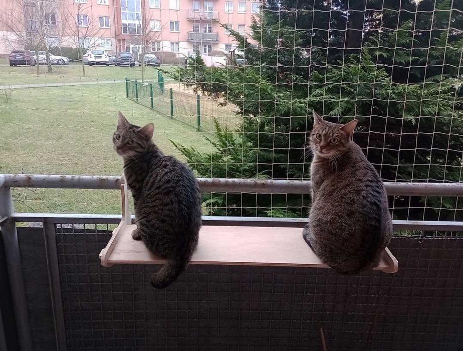 Sztywna kocia leżanka na grzejnik lub balustradę, legowisko