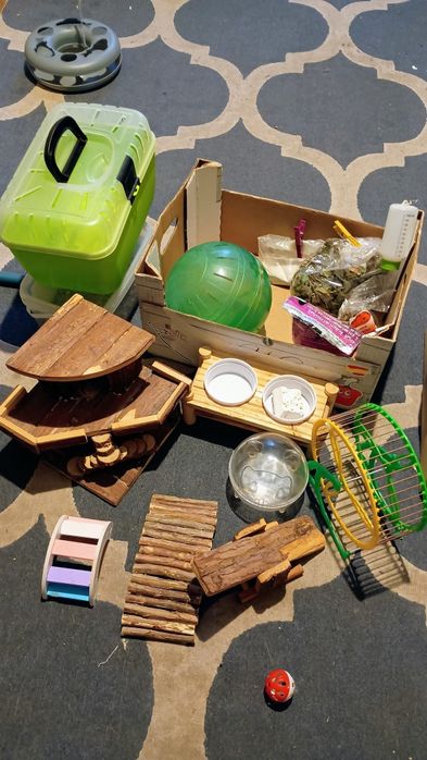 Akcesoria dla chomika