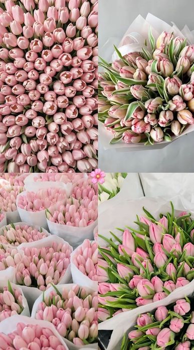 Заголовок: Тюльпани оптом і в роздріб, букети з доставкою