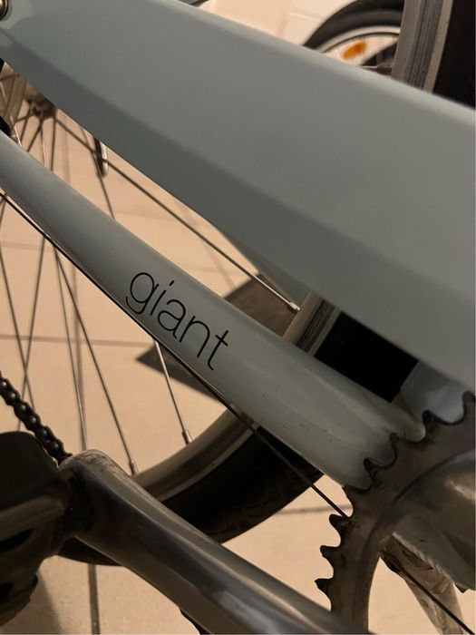 Rower Giant Flourish