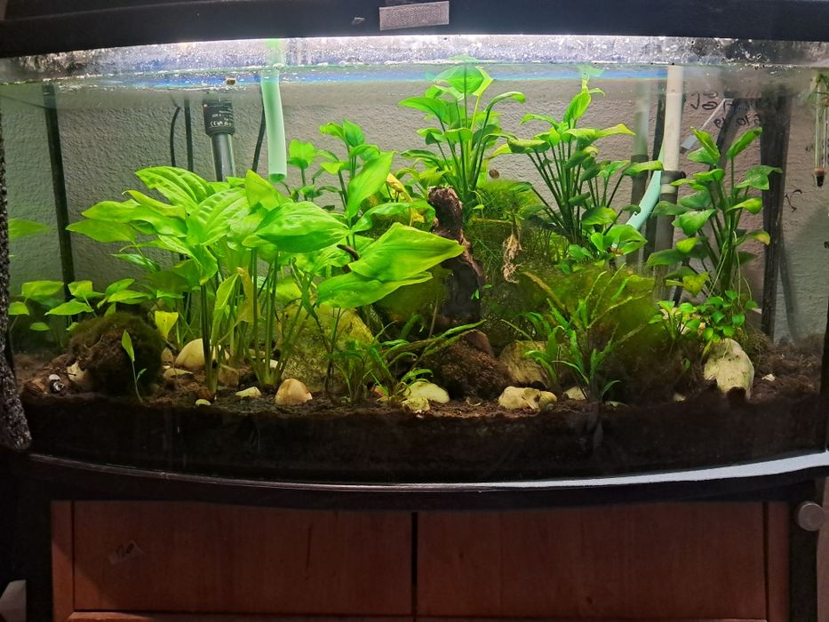 Szafka pod akwa panoramiczne ok 100l  na wymiar mocno
