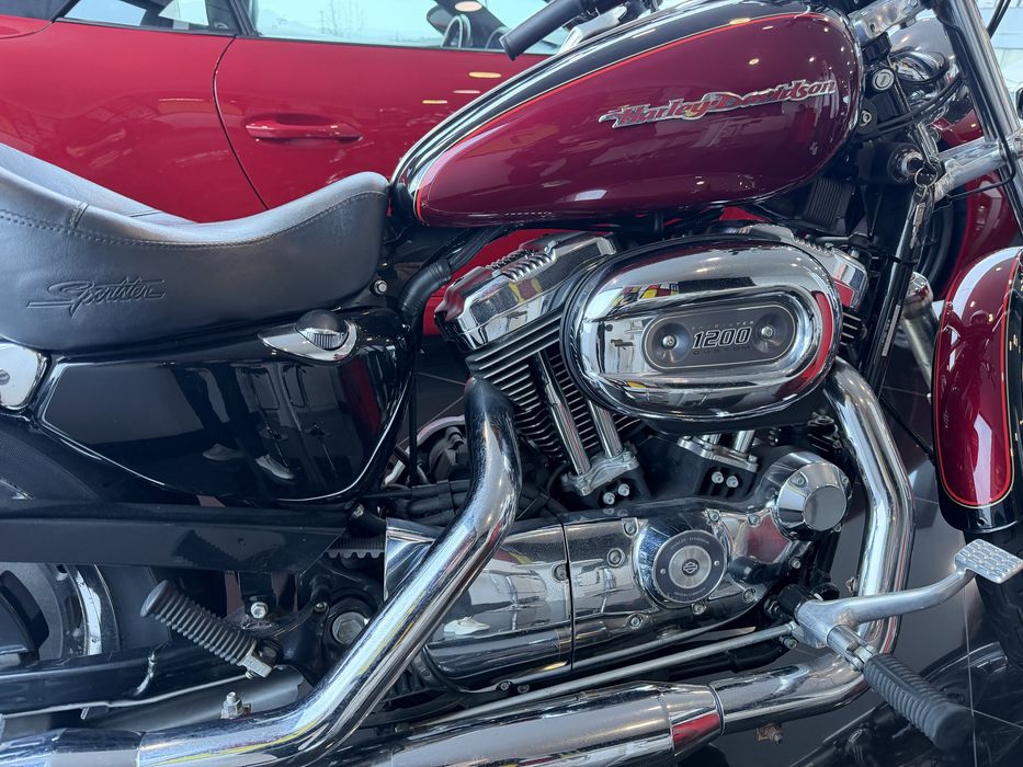 Harley davidson xl 1200c sportster custom