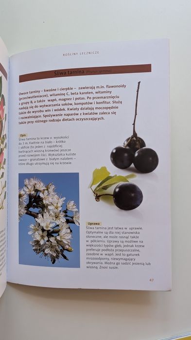 Książki Zioła, kwiaty, róże
