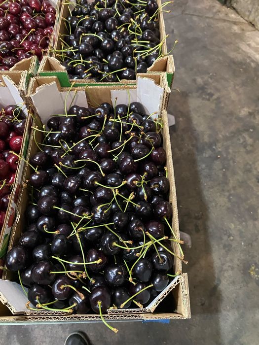 Cerejas do fundão cx 2 kg