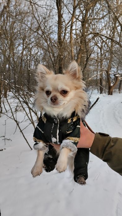 Ищу красотку для серьезных отношений !!!