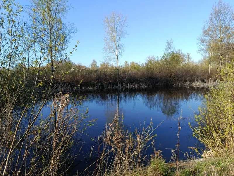 Продаж нафтобази 1260 кв.м (майновий комплекс) — Полтавська обл., с. Піски