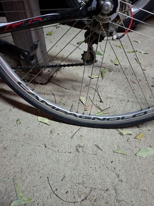 Bicicleta estrada carbono