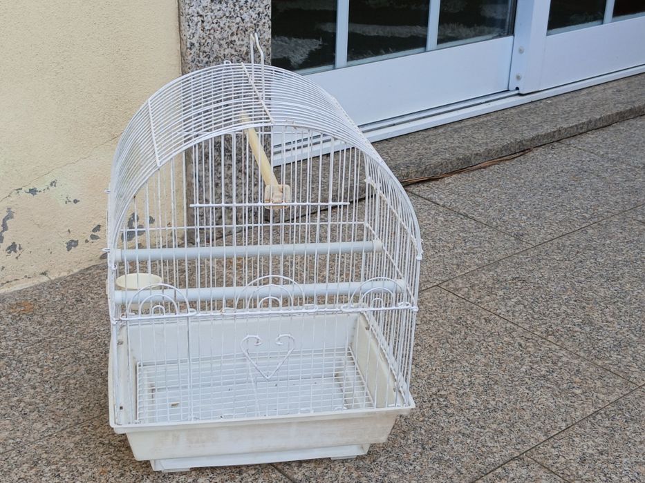 Vendo GAIOLA que também dá para DECORAÇÃO como nova. Possibilidade de entrega