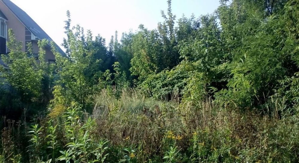 Оказываем услуги