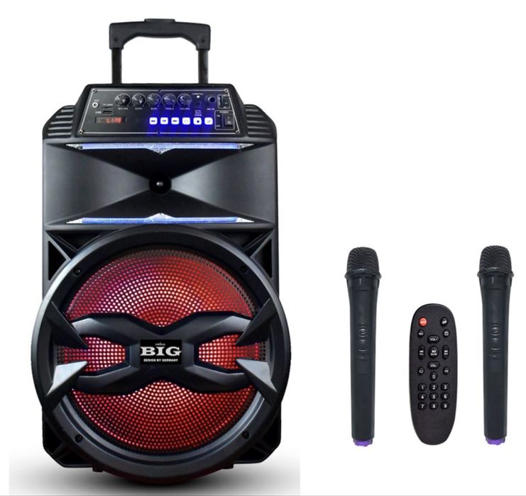 Продам колонку з 2 мікрофонами BIG310BAT