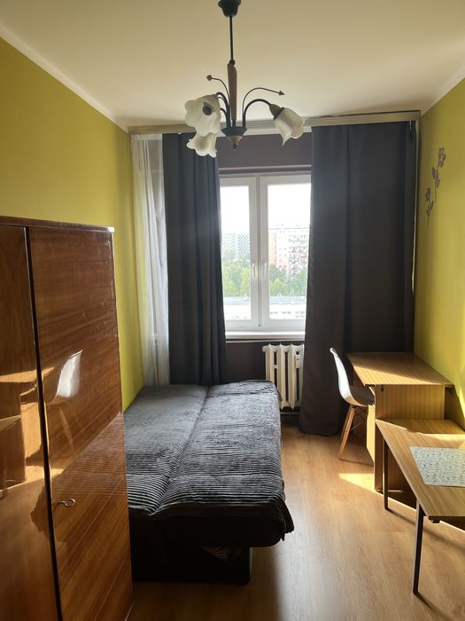 Pokoj do wynajecia w Rzeszowie