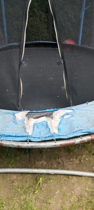 Trampolina ogrodowa oddam za darmo