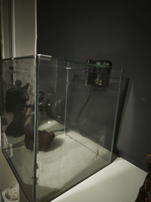 Aquario em cubo completo