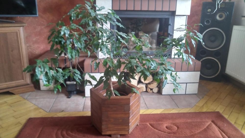 Donica ogrodowa drewniana