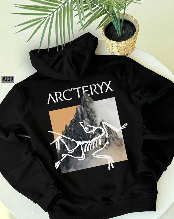ВІДПРАВКА БЕЗ ПЕРЕДПЛАТ ! Худи Arcteryx MultiBird | Артерикс Принт