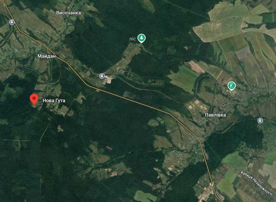 Продаж ділянки із виходом у ліс с. Нова Гута 45.5 сот (8)