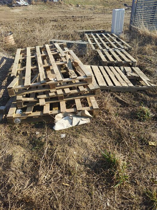 Oddam za darmo palety