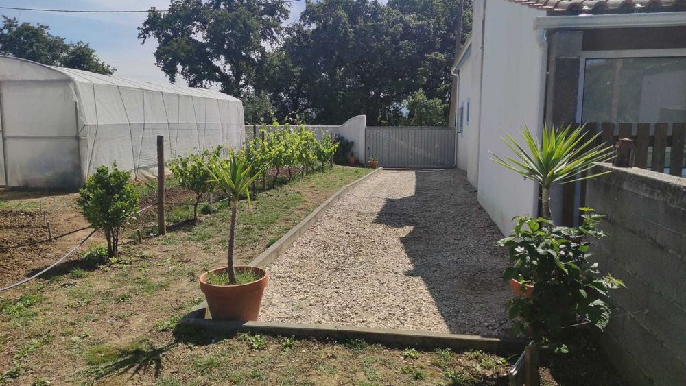 Quintinha T3 com Pomar e Furo