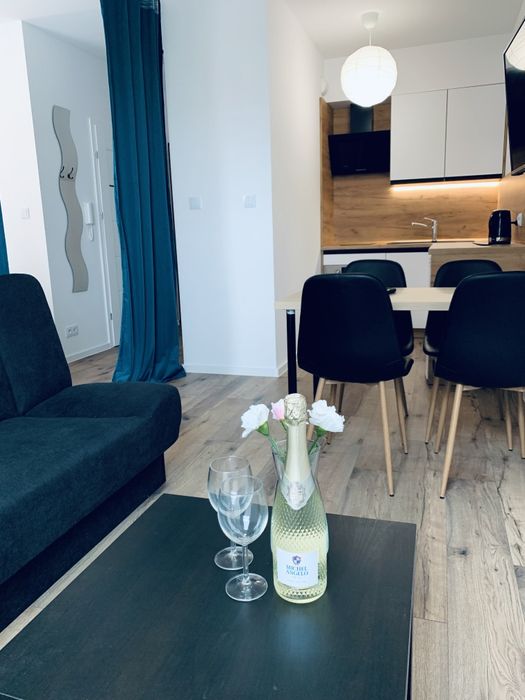 Apartament w Centrum Katowic