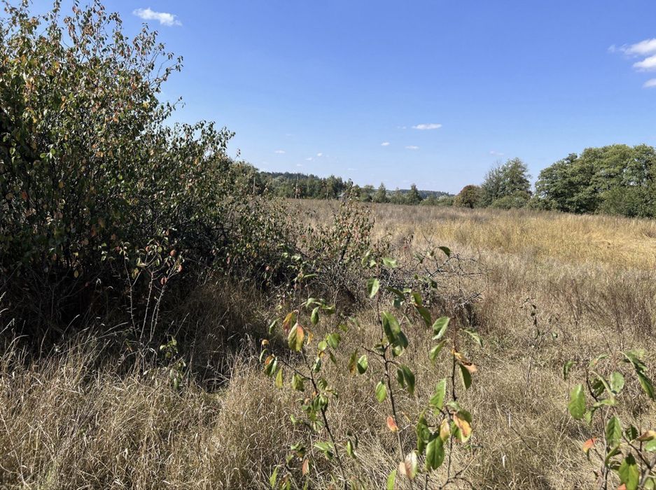 Продається земельна ділянка в с. Ярошівка, недалеко від Києва