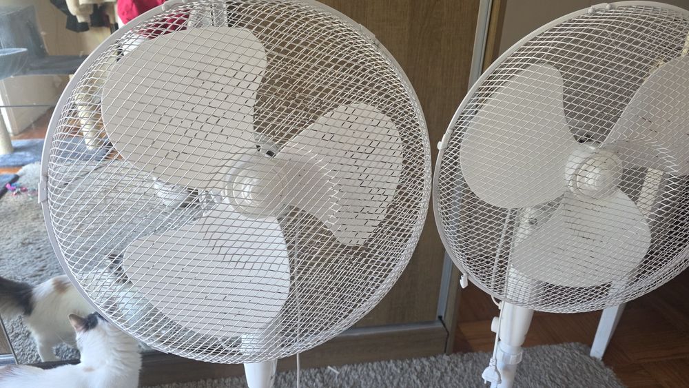 Duas Ventoinhas em bom estado